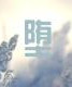 堕落花之鬼打墙